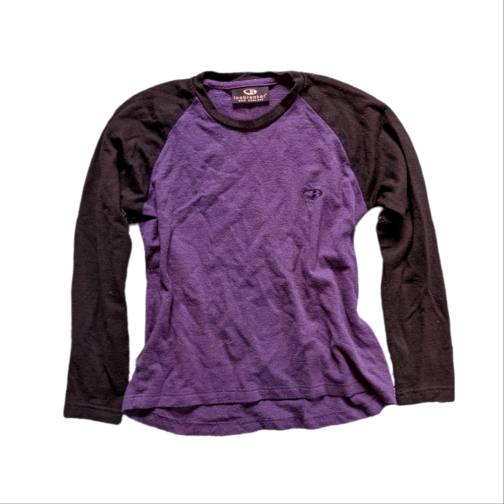 Icebreaker Merino long sleeve top